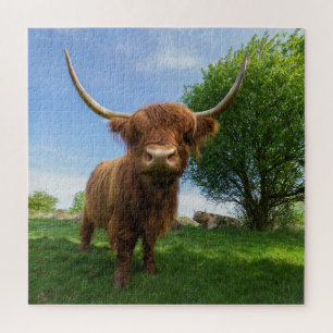 Schots hoogland Koe Legpuzzel