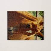 Schots Legpuzzel (Horizontaal)