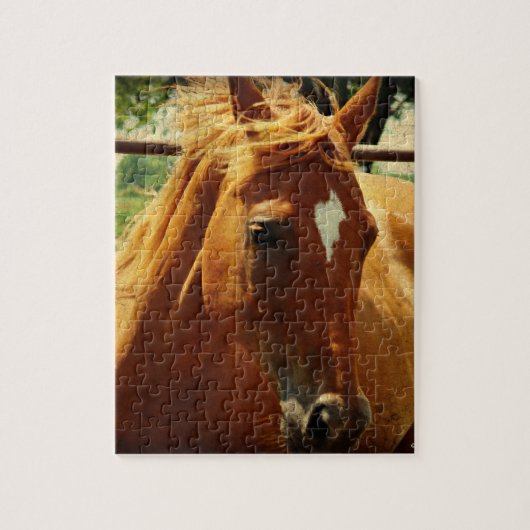 Schots Legpuzzel (Verticaal)