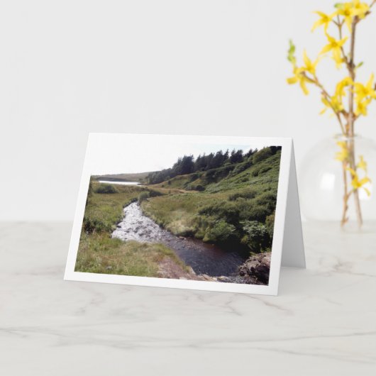 Schots meerlandschap kaart (Gele Bloem)