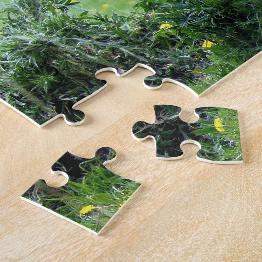 Schots-Oxen. Legpuzzel (Zijkant)