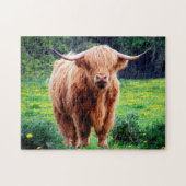 Schots-Oxen. Legpuzzel (Horizontaal)