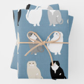 Schots vouw inpakpapier (In situ)