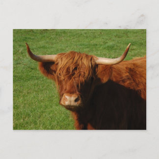 Schotse Briefkaart voor hobbyvee
