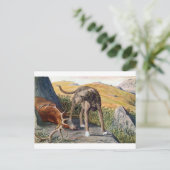 Schotse deerhound briefkaart (Staand voorkant)