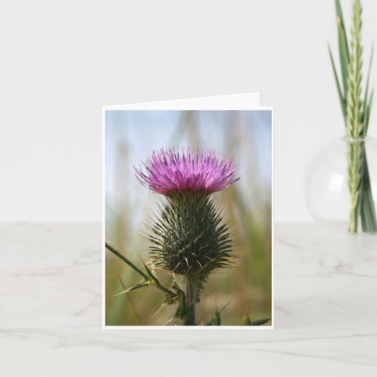 Schotse Distel Notecard Kaart (Voorkant)