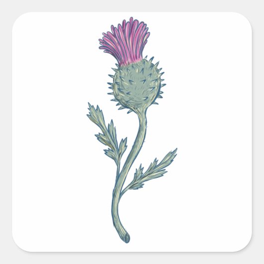 Schotse distel tekening vierkante sticker (Voorkant)