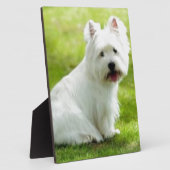 schotse doodsbang fotoplaat (Zijkant)