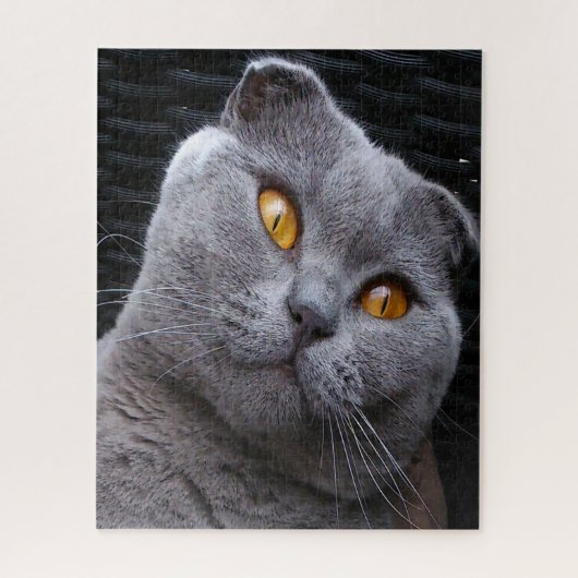 Schotse Fold Kat Stamboom Legpuzzel (Verticaal)