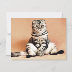 Schotse gevouwen kat zittend op een bank Postcross Briefkaart