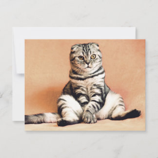 Schotse gevouwen kat zittend op een bank Postcross Briefkaart