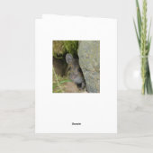 Schotse grenenmartenkaart kaart (Achterkant)