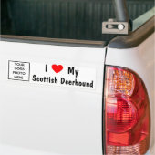 Schotse Hertenhond Bumpersticker (Op Truck)