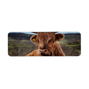 Schotse Highland Koe Longhorn Stier Rancher Etiket