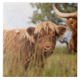 Schotse hoerenkuiberg tegeltje