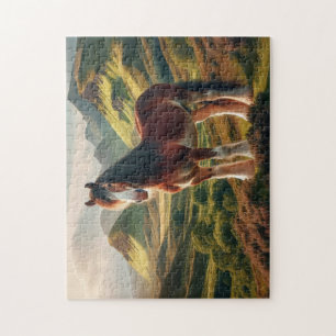 Schotse hoogland Clydesdale paard Legpuzzel