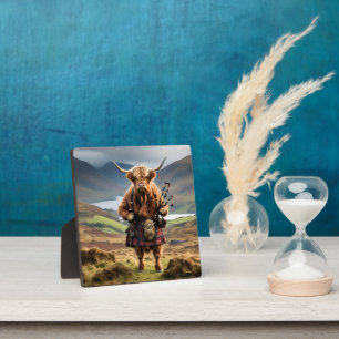 Schotse Hoogland Koe Bagpiper, Fotoplaat