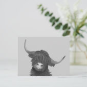 Schotse hoogland Koe Briefkaart (Staand voorkant)