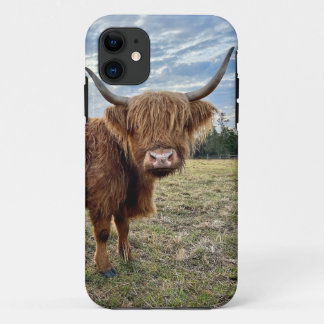 Schotse Hoogland Koe Portrait iPhone 11 Hoesje
