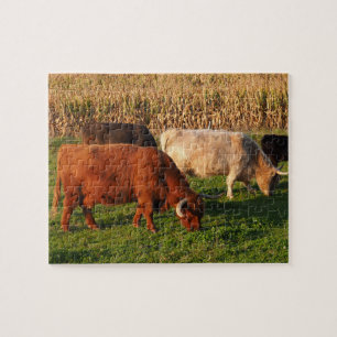 Schotse hoogland Koeien in een weide Legpuzzel
