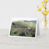 Schotse Hoogland Landschap Kaart (Gele Bloem)