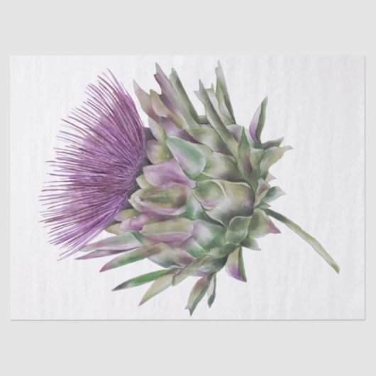 Schotse hoogland Thistle Waterverf Tissuepapier (Voorkant)