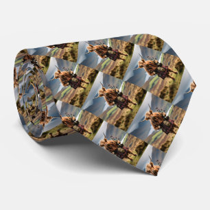 Schotse Hooglandkoe Dudelsackspeler, Stropdas
