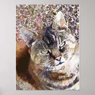 SCHOTSE KAT POSTER