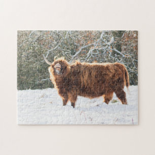 Schotse Schotse hoerse koe in de sneeuw Legpuzzel
