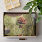 Schotse Steerpunk Tissuepapier (Geschenk)