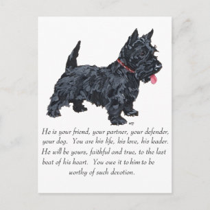 Schotse Terrier Aandenken - REUZE Hond Briefkaart