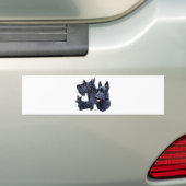 Schotse Terrier Bumpersticker (Op auto)