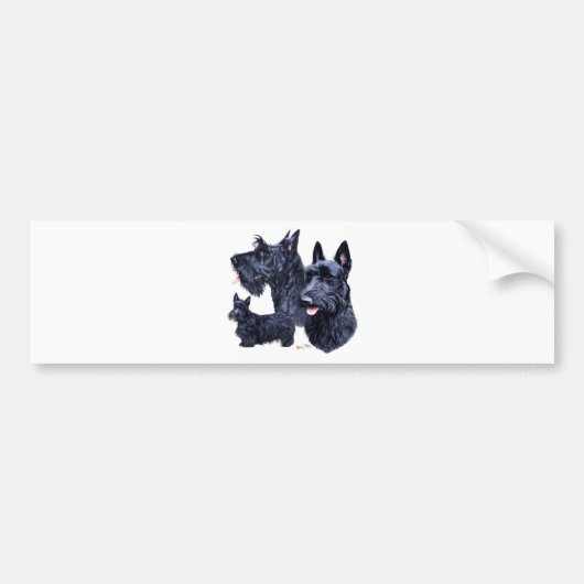 Schotse Terrier Bumpersticker (Voorkant)