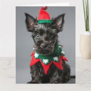 Schotse Terrier Elf Puppy Christmas Kaart