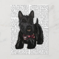 Schotse Terrier en Bow