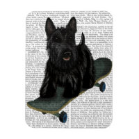 Schotse Terrier en Skateboard