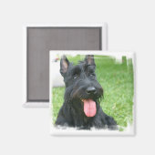 Schotse Terrier Hondenmagneet Magneet (Voorkant / Achterkant)