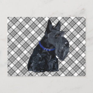 Schotse Terrier in een Blauwe Halsband Briefkaart