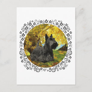 Schotse Terrier in herfstbossen Briefkaart