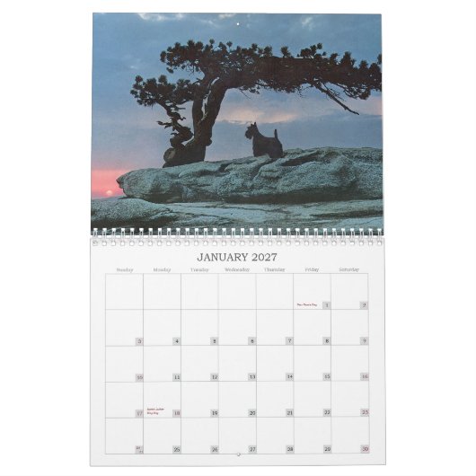 Schotse Terriër Kalender (Jan 2027)