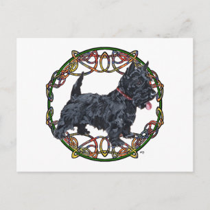 Schotse Terrier Keltische Knoopwerk Briefkaart