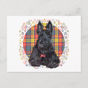 Schotse Terrier op Buchanan Plaid Briefkaart