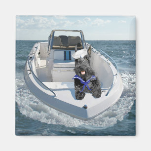 Schotse Terrier op de boot Magneet