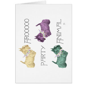 Schotse Terrier Party Animals