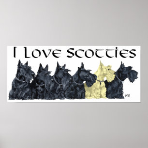 Schotse Terrier Poster