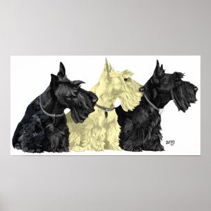 Schotse Terrier Poster