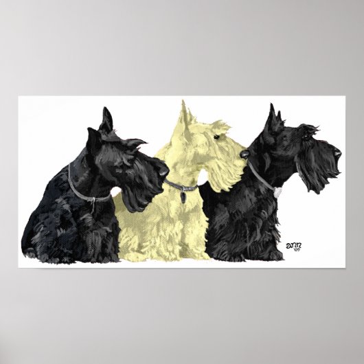Schotse Terrier Poster (Voorkant)