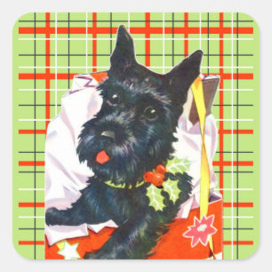Schotse Terriër Scottie met groene plaid stickers