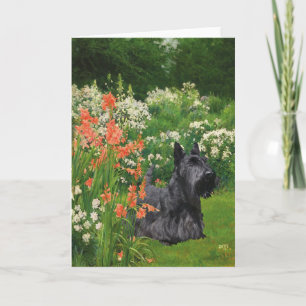 Schotse Terrier Wenskaart Kaart
