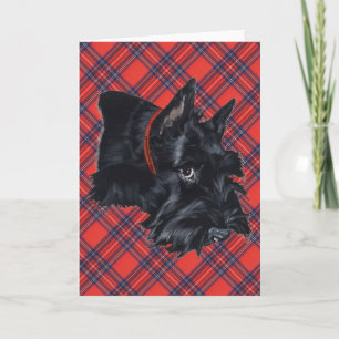 Schotse Terrier Wenskaart Kaart